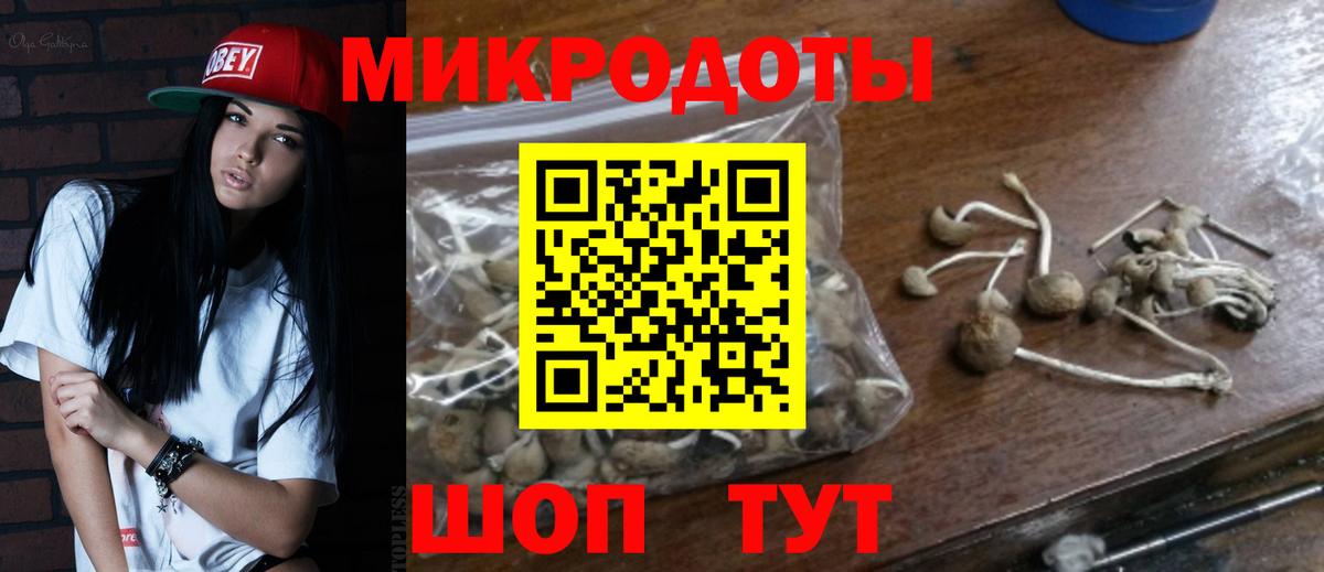Псилоцибиновые грибы GOLDEN TEACHER Ульяновск
